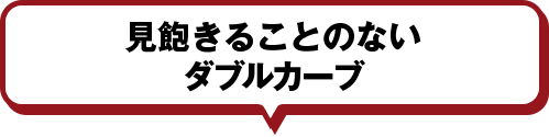 見飽きることのないダブルカーブ