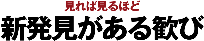 見れば見るほど新発見がある歓び