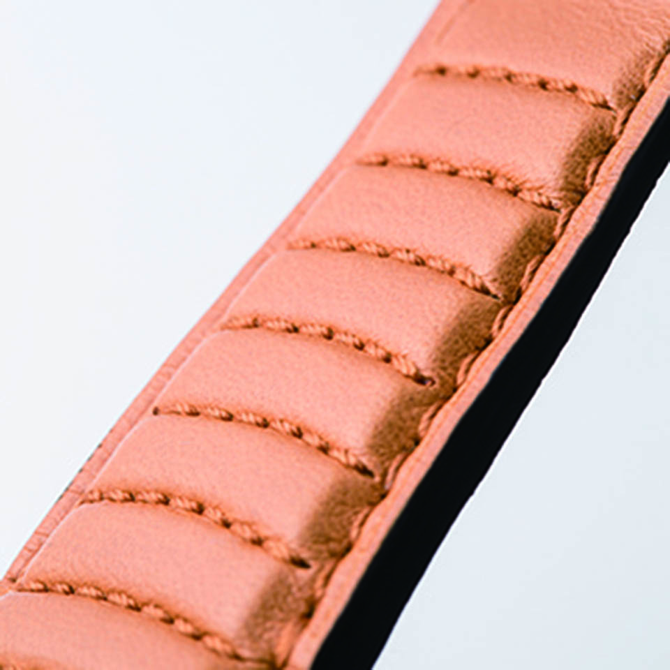 シルバーストーン RS GMT サムネイル画像3